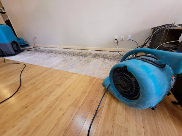 Professional Sewage Cleanup technician working in New River, AZ